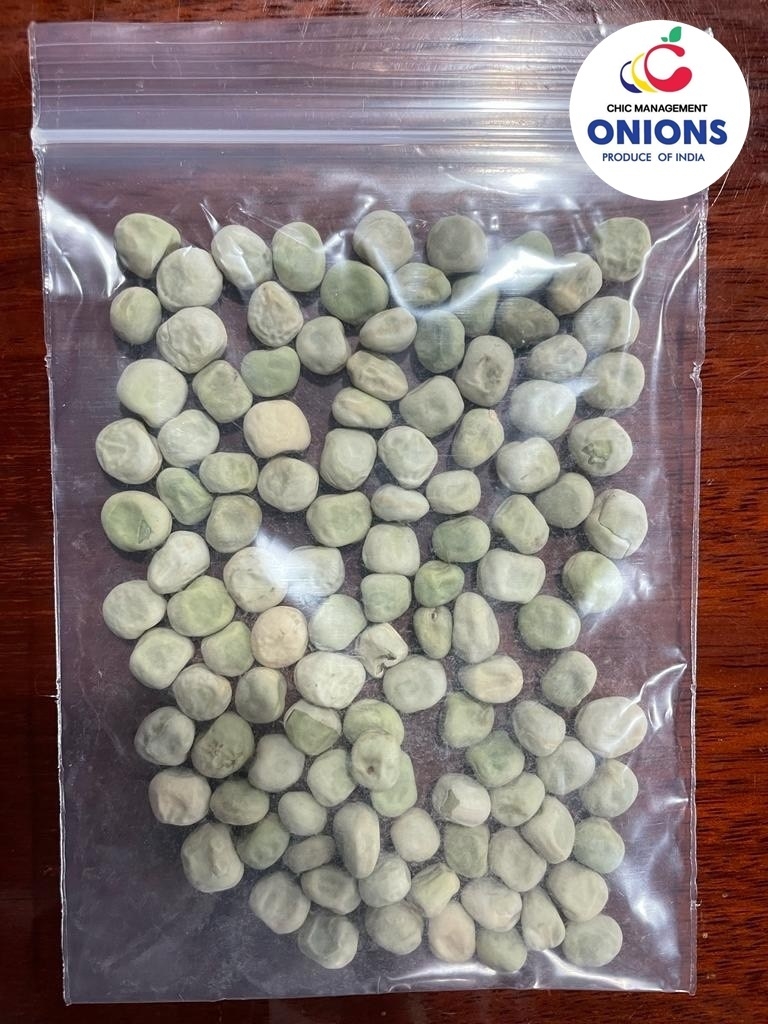 LINE_ALBUM_ถั่วลิสง_๒๓๐๒๑๐_45